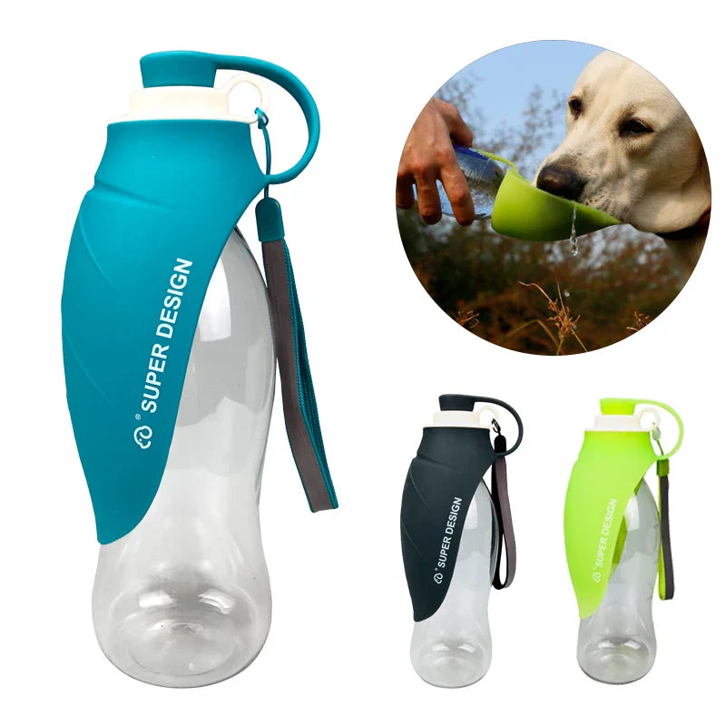 Portable PET Bottle 580ml Sheet 