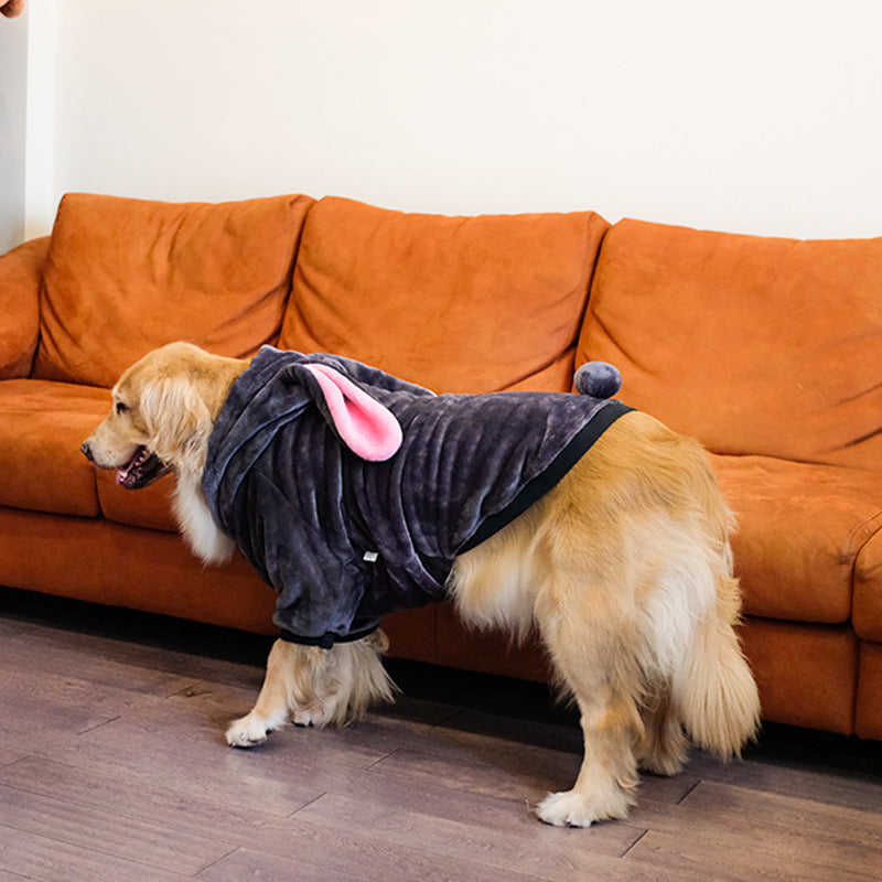 Cute Adventure Sweatshirt 
