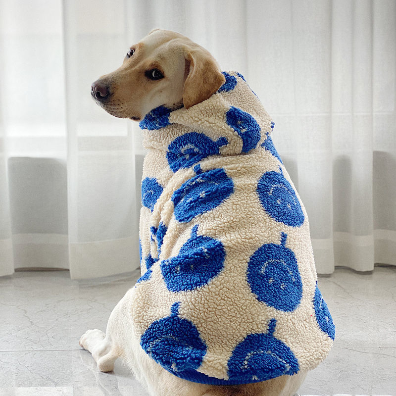 Warm Jumpet Sweatshirt 