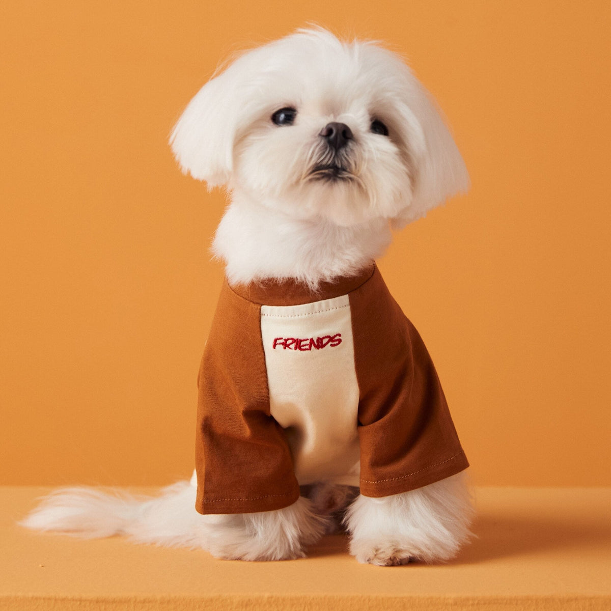 Blusa Pet Friend