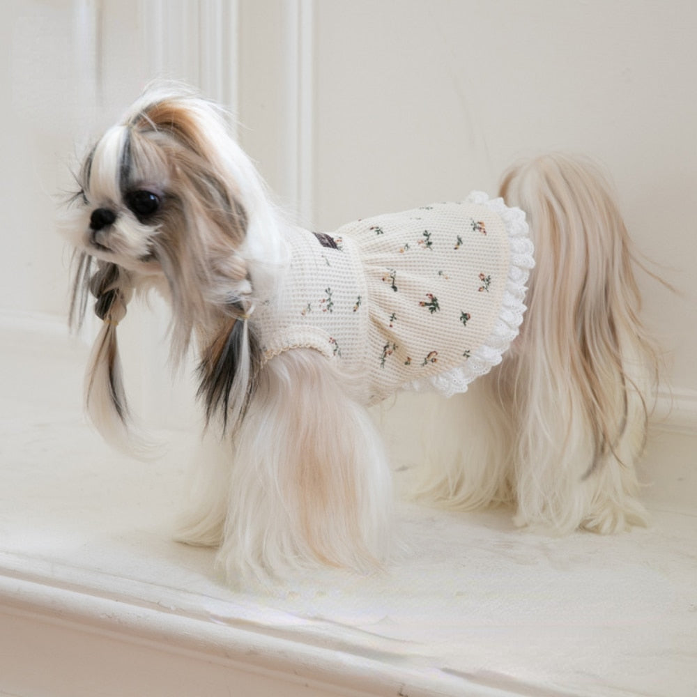 Gessi Pet Dress 