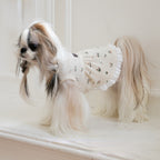Gessi Pet Dress 