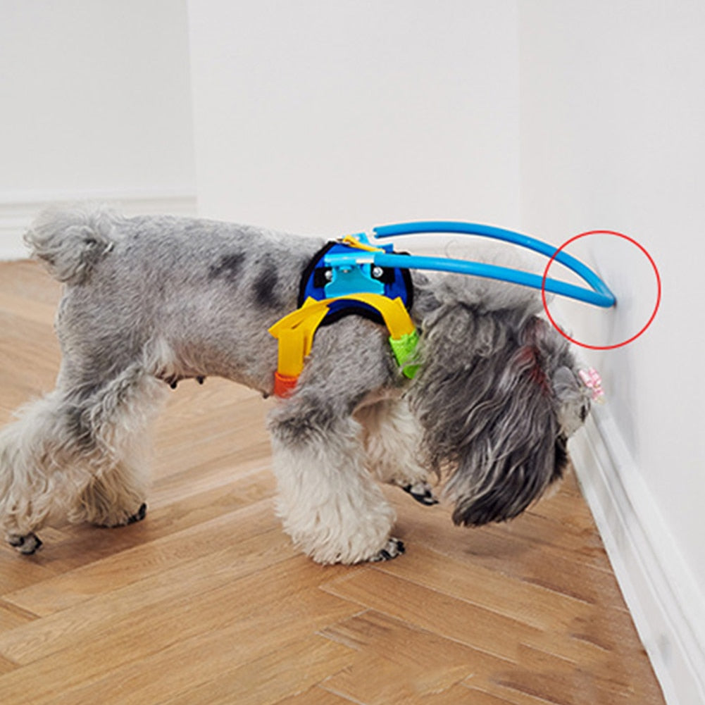Anti-collision pet collar for blind people.