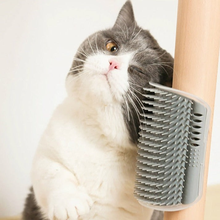 Pet Massager Comb