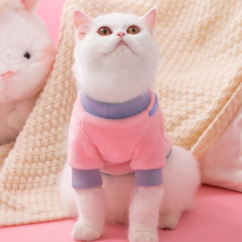 Pet Bunny sweatshirt 