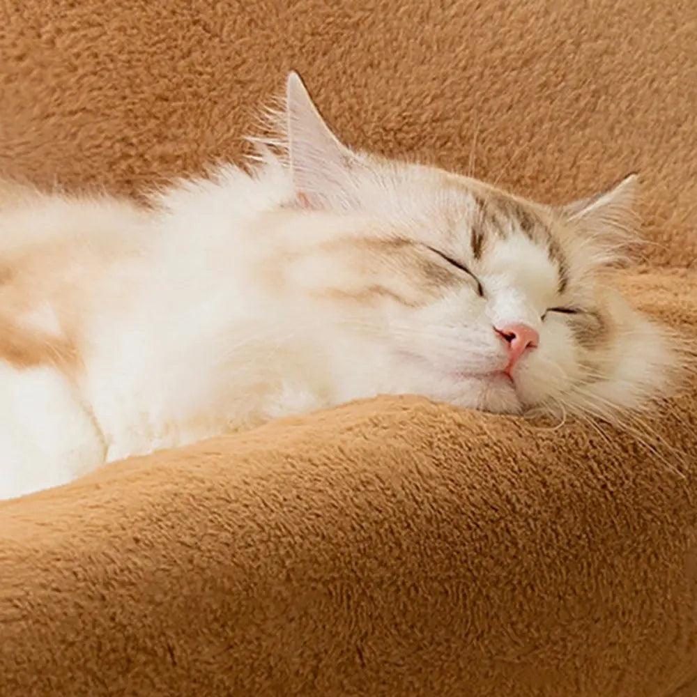 Bear Pet Sofa Bed