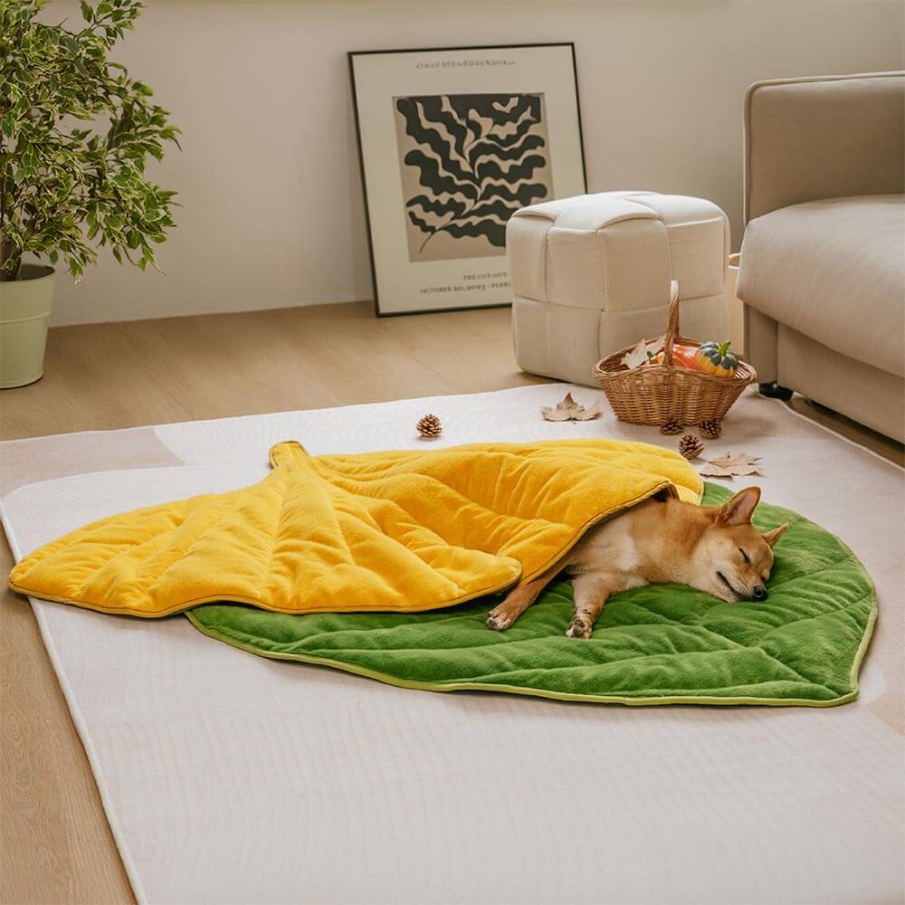 Tapete de pelúcia lavável em forma de folha para cães - The Leaf Collector