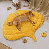 Ginkgo Amarelo