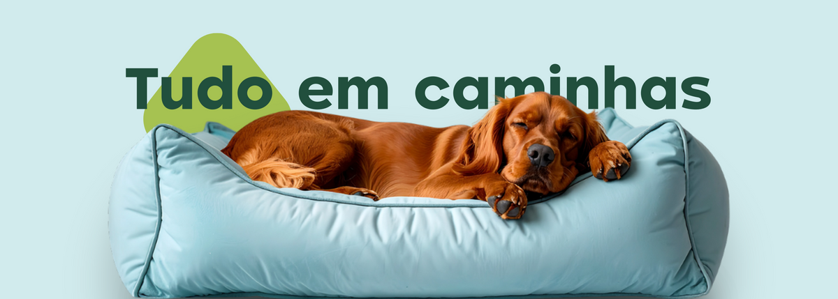 Destaque Caminhas