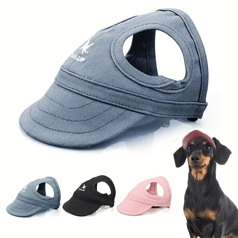 Boné para cachorro Tailup