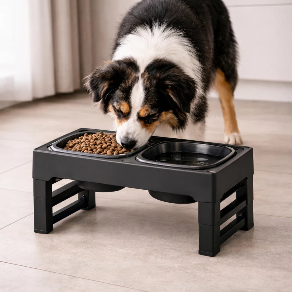 Alimentador bebedouro Comedouro Elevado Pet Regulavel Duplo Ergonômico Cachorro Olivini Home