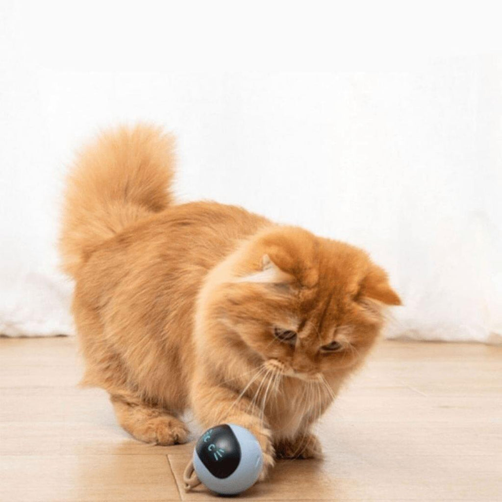 Smart Toy for Dogs and Cats - Smart Ball