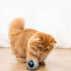 Smart Toy for Dogs and Cats - Smart Ball