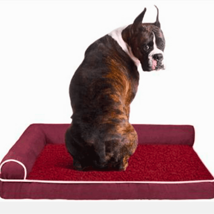 Luxury Dog and Cat Bed