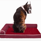 Luxury Dog and Cat Bed