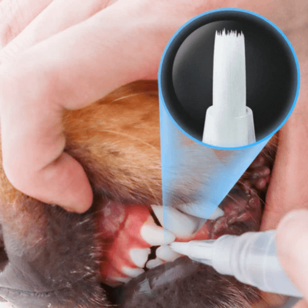 Caneta de cuidado dental para Cães