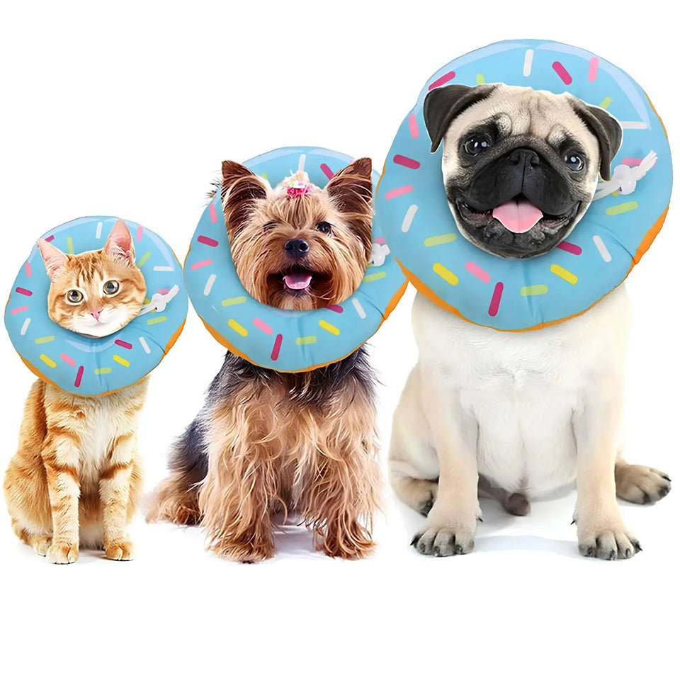 COLAR ELIZABETANO PET
