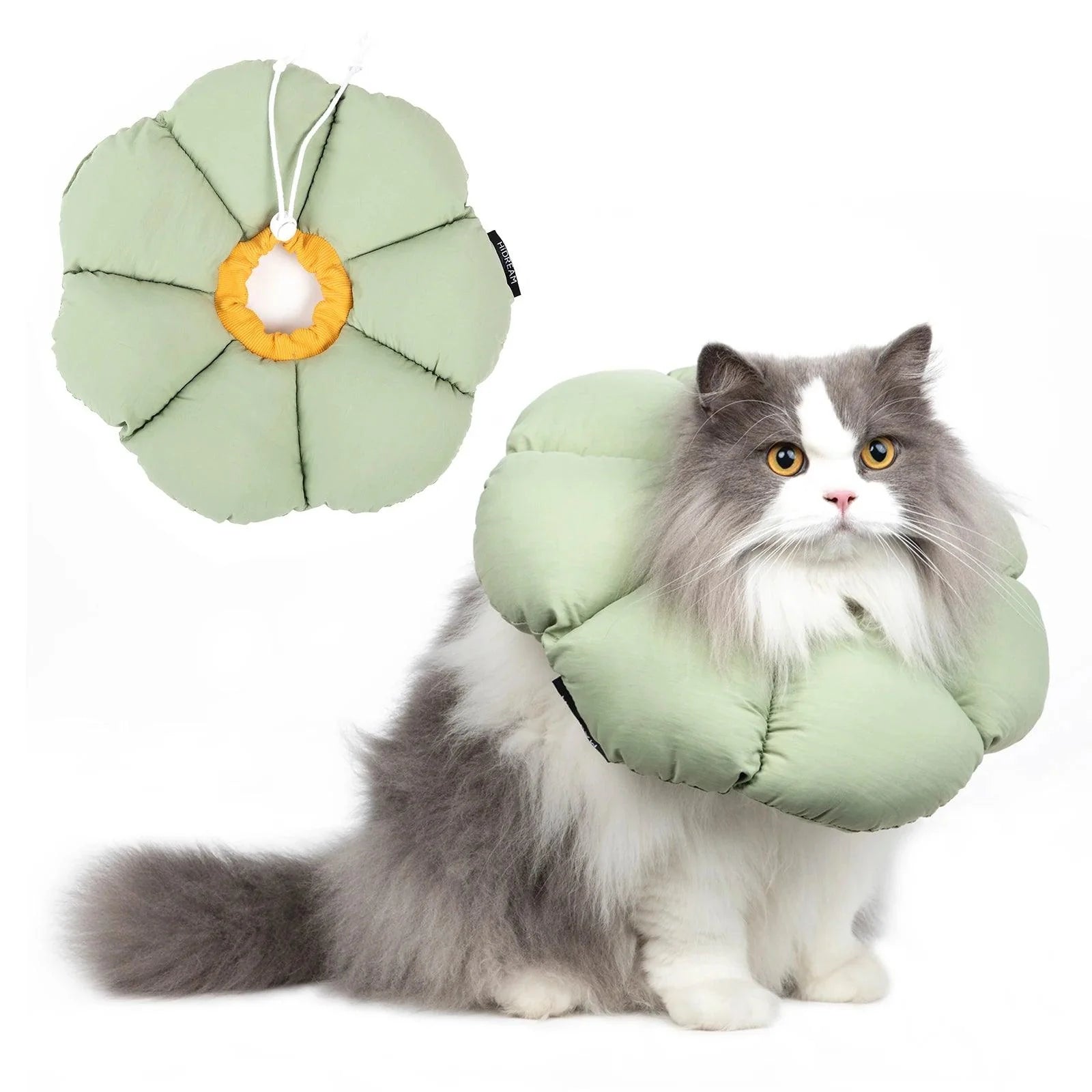 Colar Elizabetano para Pets À prova D'água