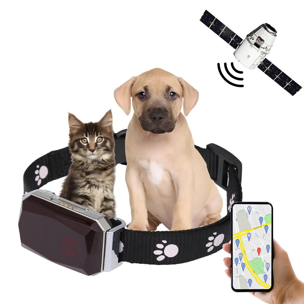 GPS Collar for Pets: Precision and Speed