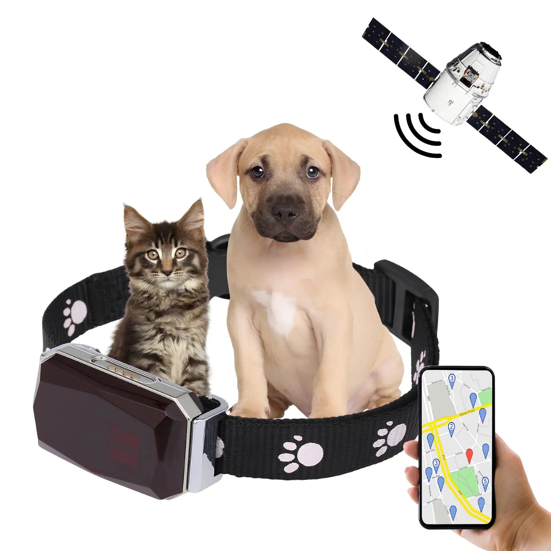 Coleira Com Gps Para Pets Precisão e Rapidez