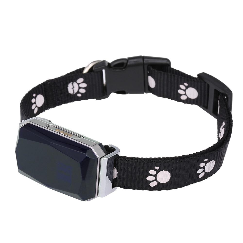 GPS Collar for Pets: Precision and Speed