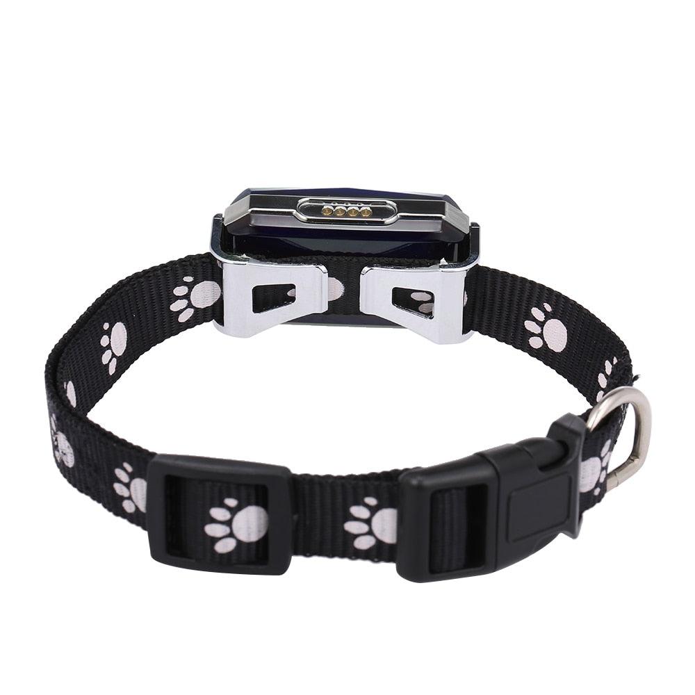 GPS Collar for Pets: Precision and Speed