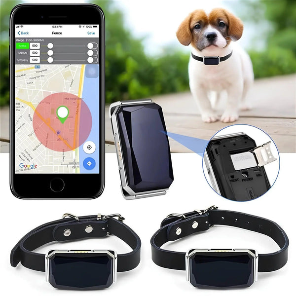 Coleira com Rastreador GPS G12 À Prova D'Água para Cachorro e Gato - Pet Croc