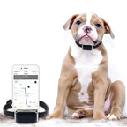 Waterproof GPS Tracker Collar G12