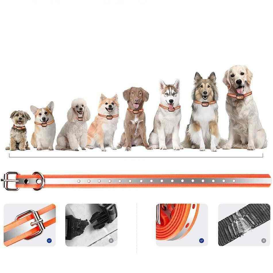 Adjustable Waterproof Training Collar with a Range of 1000m 