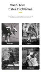 Adjustable Waterproof Training Collar with a Range of 1000m 