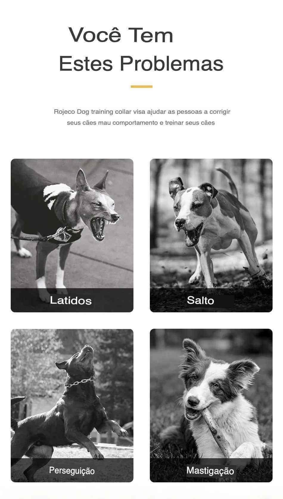 Adjustable Waterproof Training Collar with a Range of 1000m 