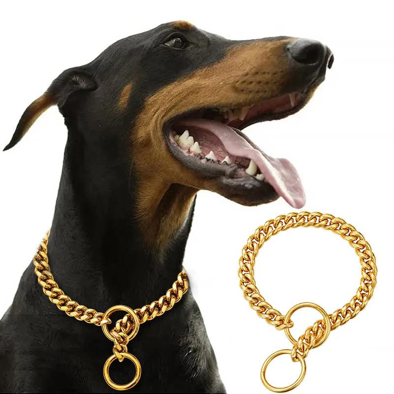 Exclusive Gold Dog Collar