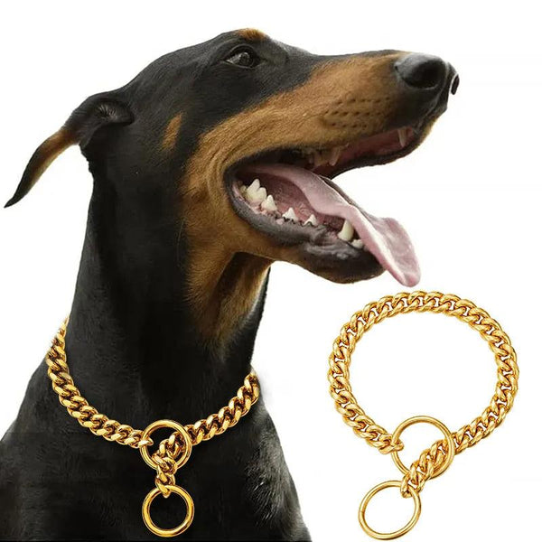Coleira Dourada para Cachorro Exclusive - Pet Croc