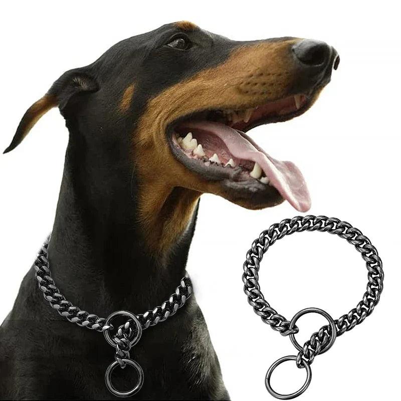 Exclusive Gold Dog Collar
