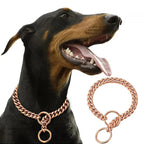 Exclusive Gold Dog Collar