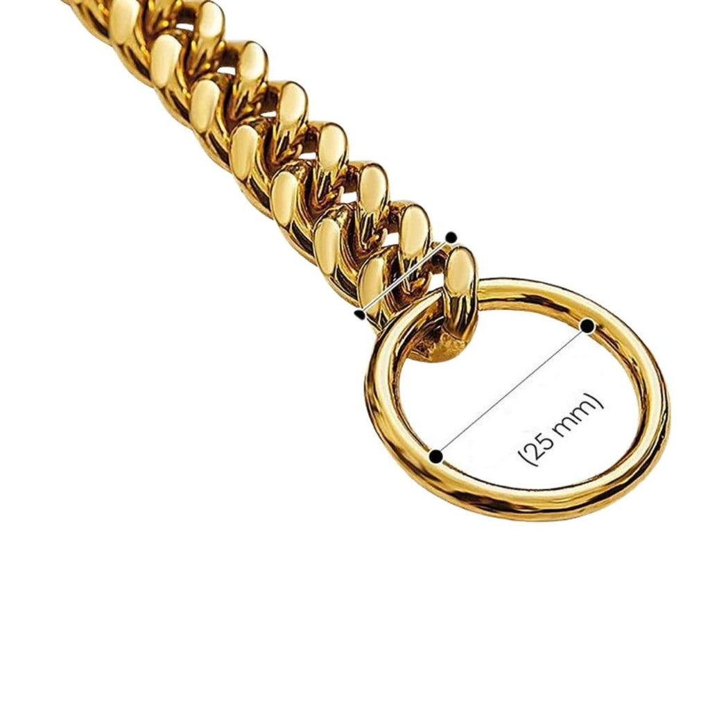 Exclusive Gold Dog Collar