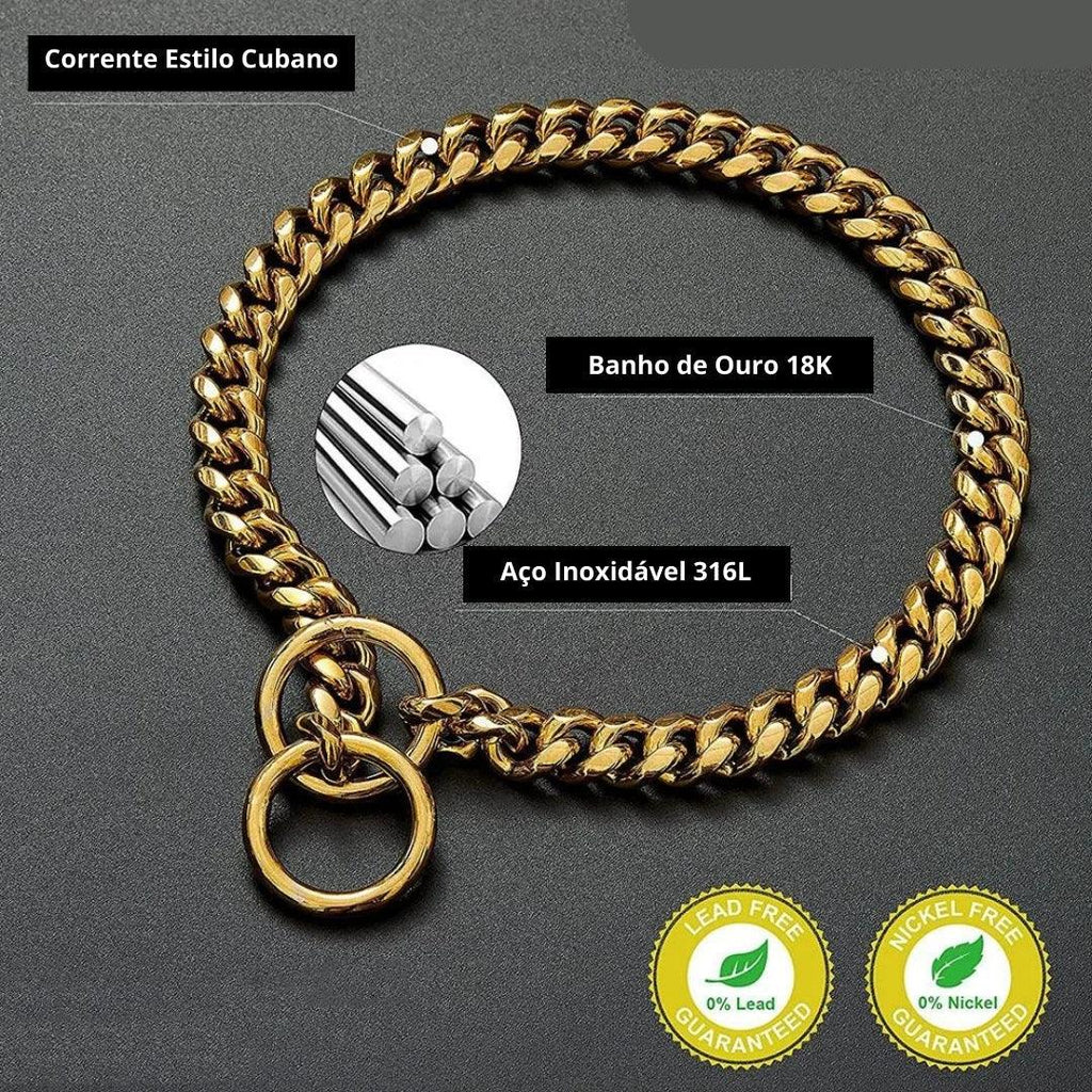 Exclusive Gold Dog Collar