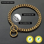 Exclusive Gold Dog Collar