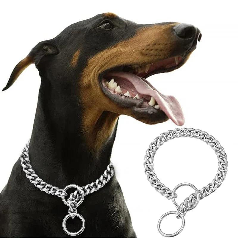 Exclusive Gold Dog Collar