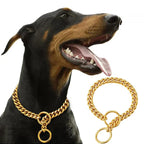 Exclusive Gold Dog Collar
