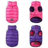 Rosa/Roxo