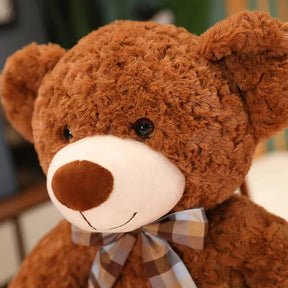 Pelúcia Urso Ted