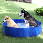 Swimming Pool Pet Club