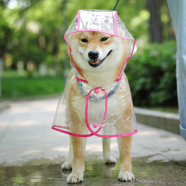Capa de Chuva Pet Brisse - Pet Croc