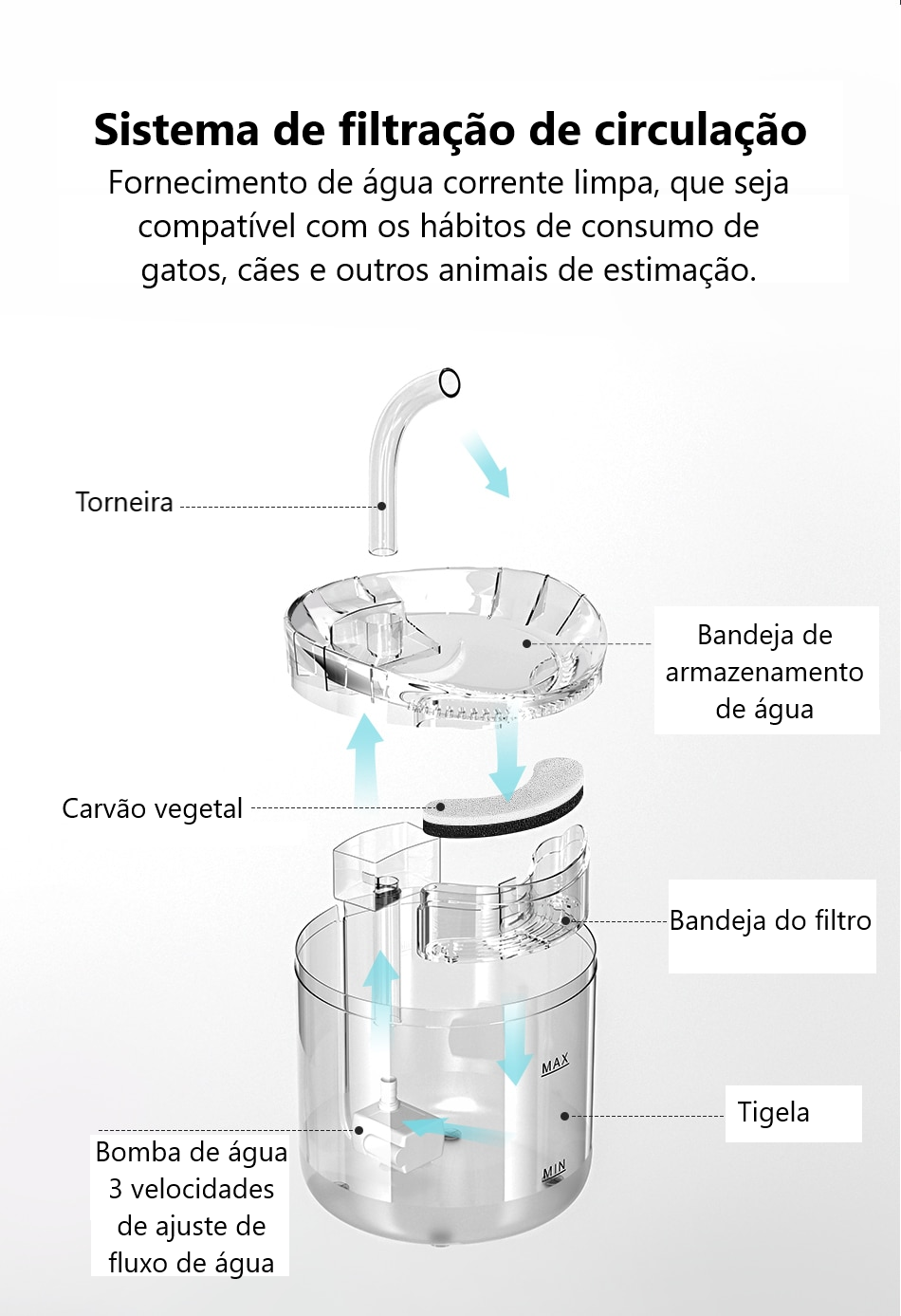 Automatic Fresh Water Fountain