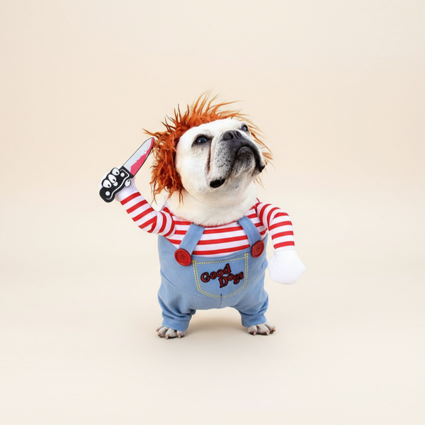 Fantasia Chucky Para Cachorro - Especial Dia das Bruxas - Pet Croc