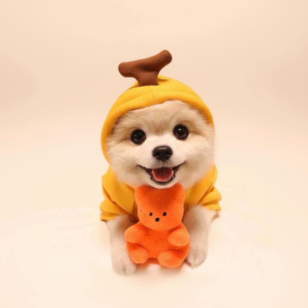 Roupa para Cachorro - Suéter Pelo Chique