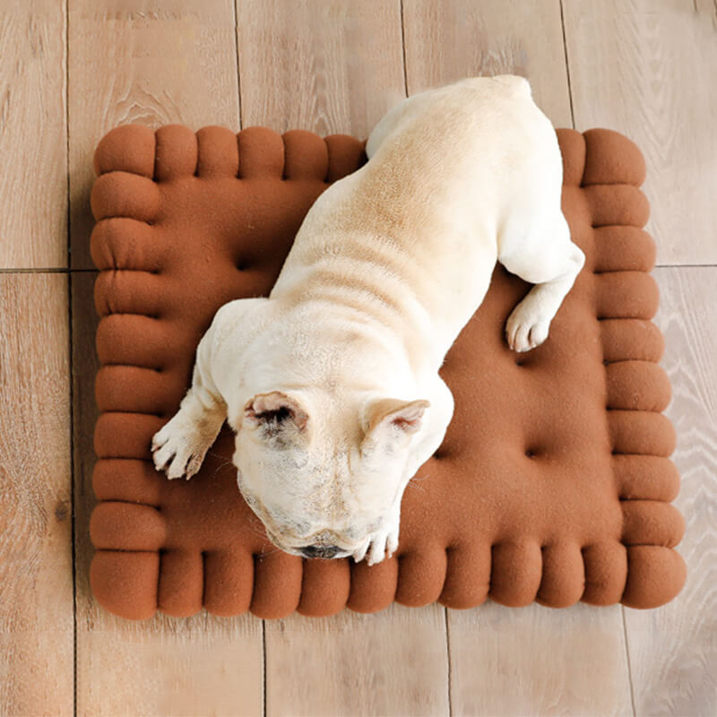 Padded dog bed made of biscuit dough.