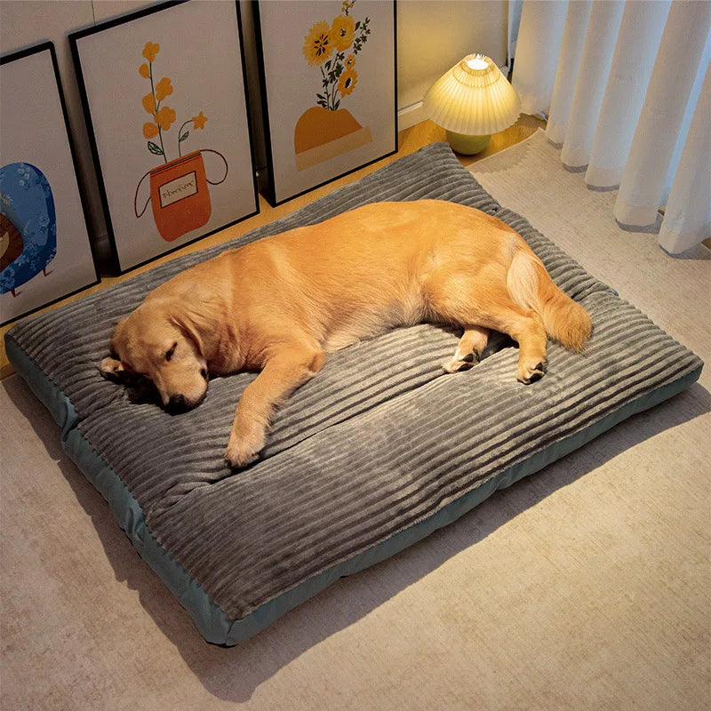 Cama Para Cachorro Grande Kansas