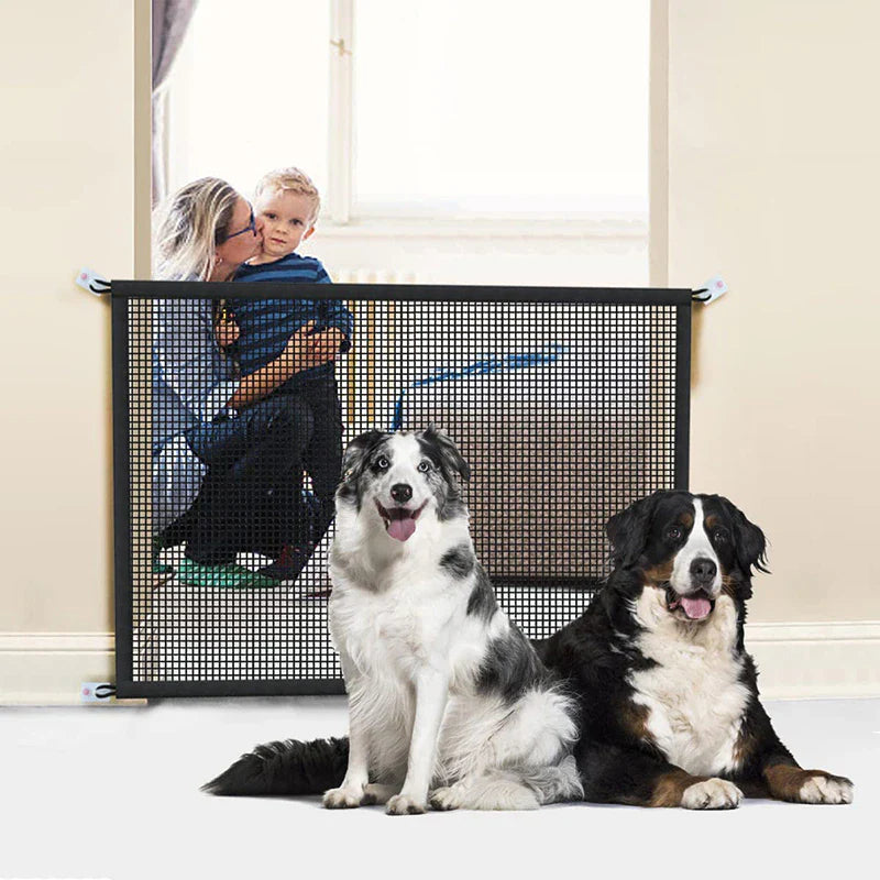 Portable Palladium Security Gate